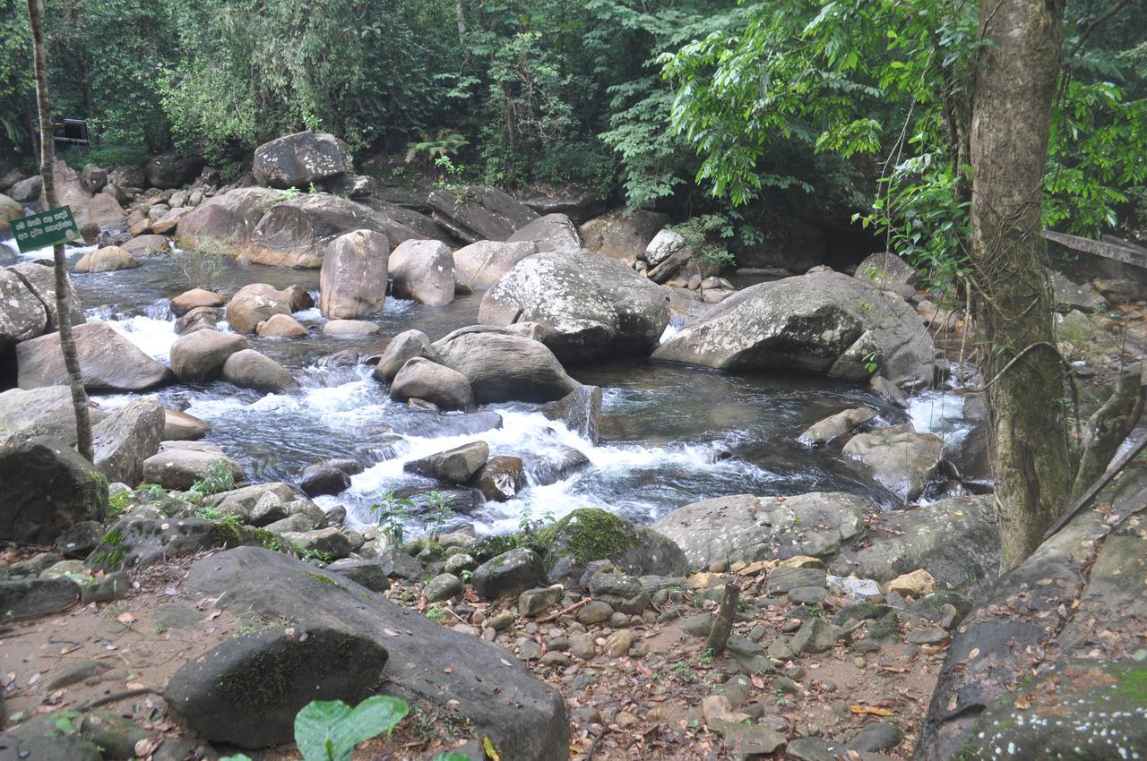 Girankiththa Eco Resort 키둘가라 외부 사진