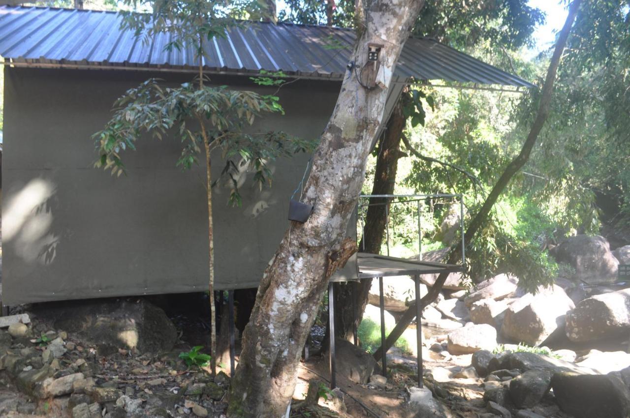 Girankiththa Eco Resort 키둘가라 외부 사진
